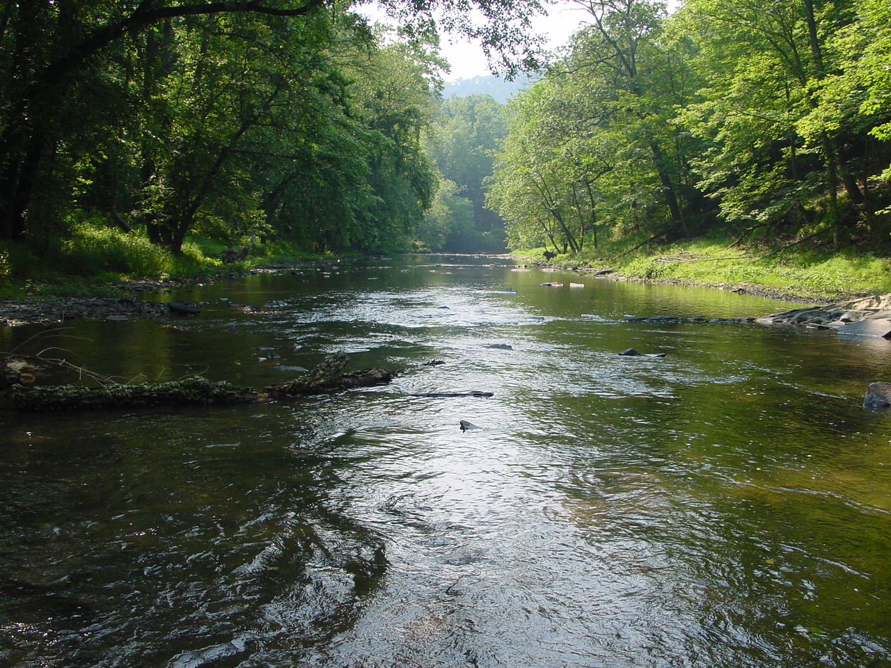 Field photo showing stream conditions at site TOWN-417-R-2002-4