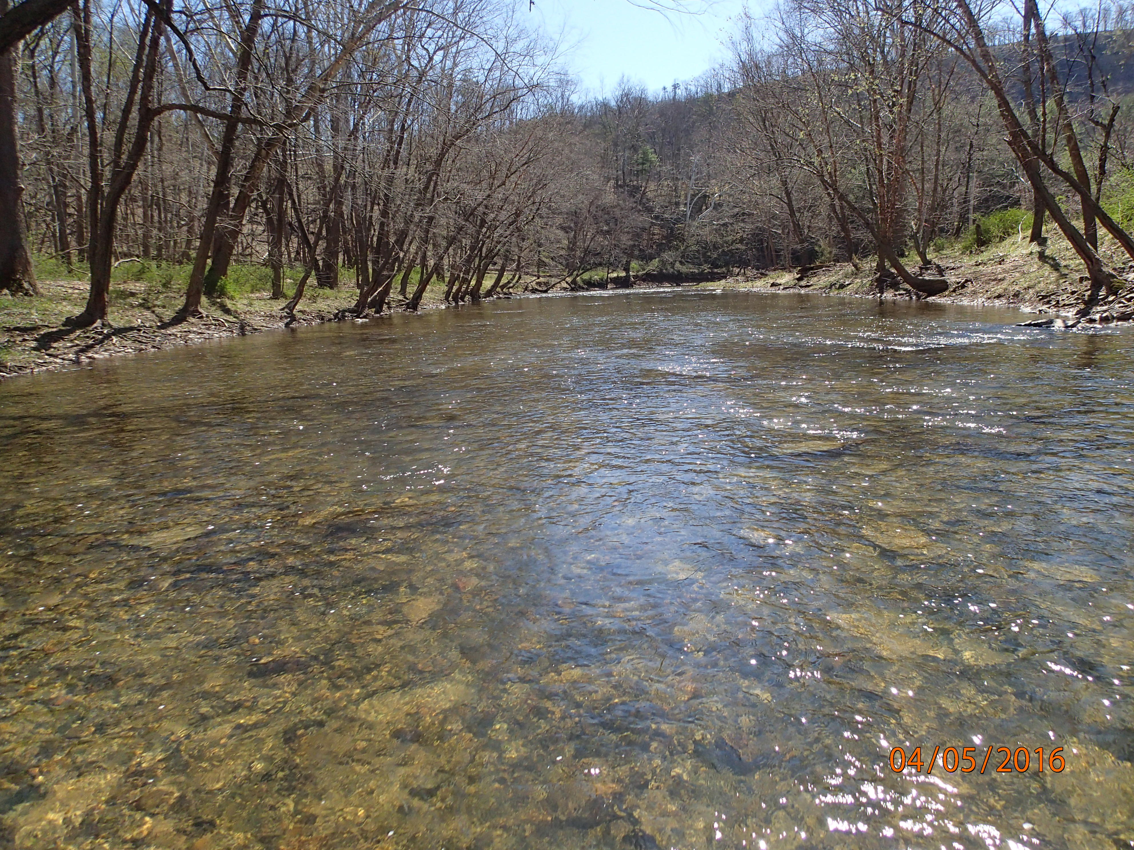 Field photo showing stream conditions at site TOWN-417-R-2016-MidpointDownstream