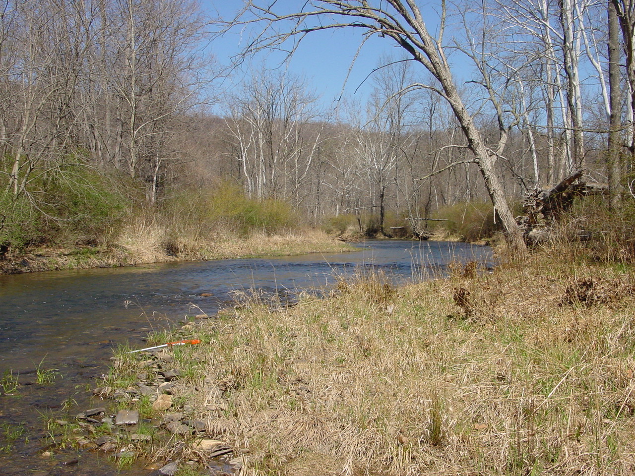 Field photo showing stream conditions at site TOWN-419-R-2002-1