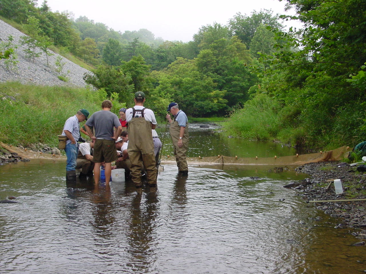 Field photo showing stream conditions at site TOWN-419-R-2002-5