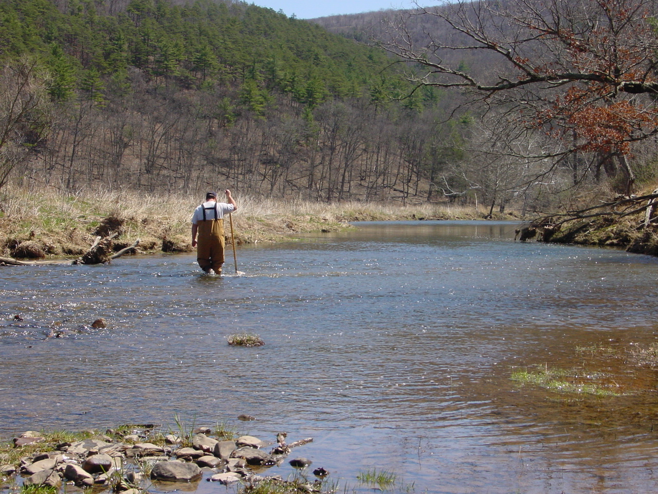 Field photo showing stream conditions at site TOWN-420-R-2002-1