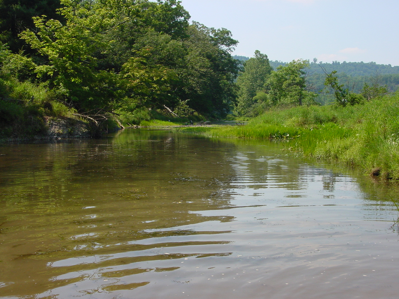 Field photo showing stream conditions at site TOWN-420-R-2002-3