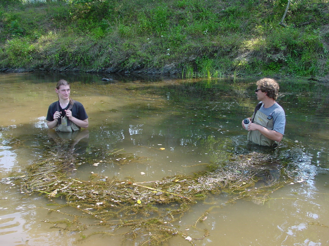 Field photo showing stream conditions at site TOWN-420-R-2002-4