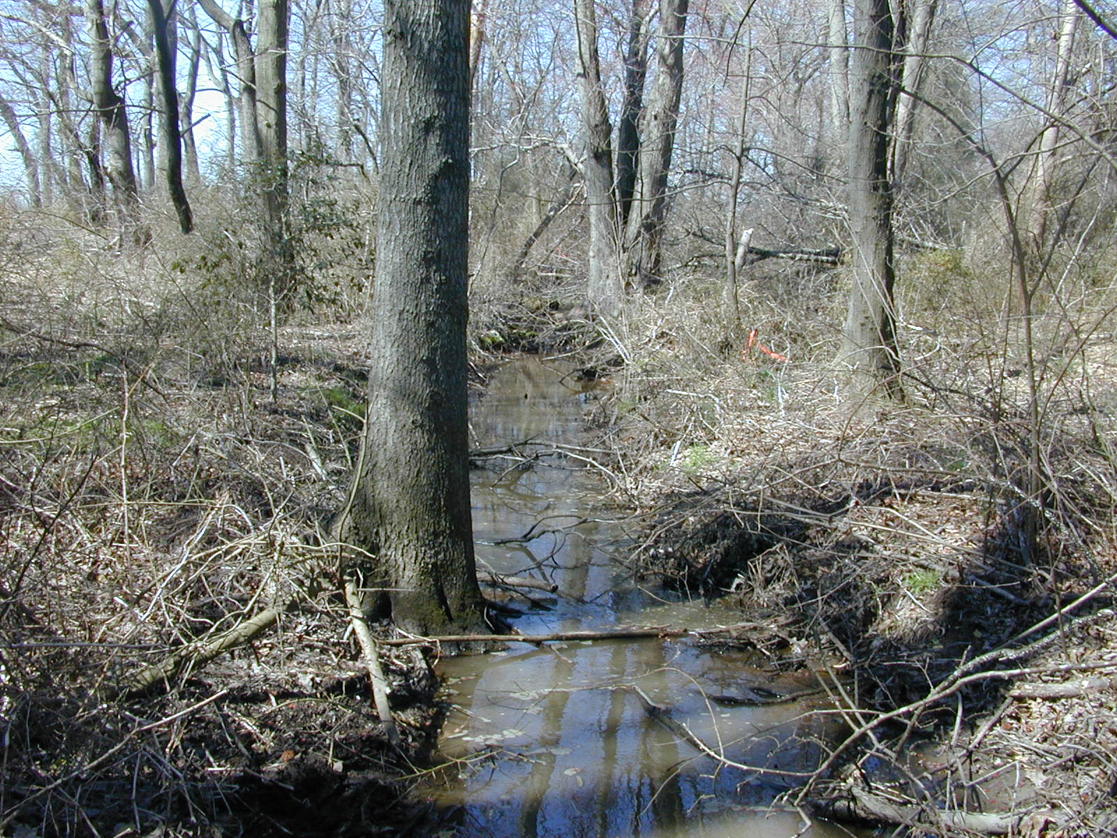 Field photo showing stream conditions at site TRAN-103-R-2004-1