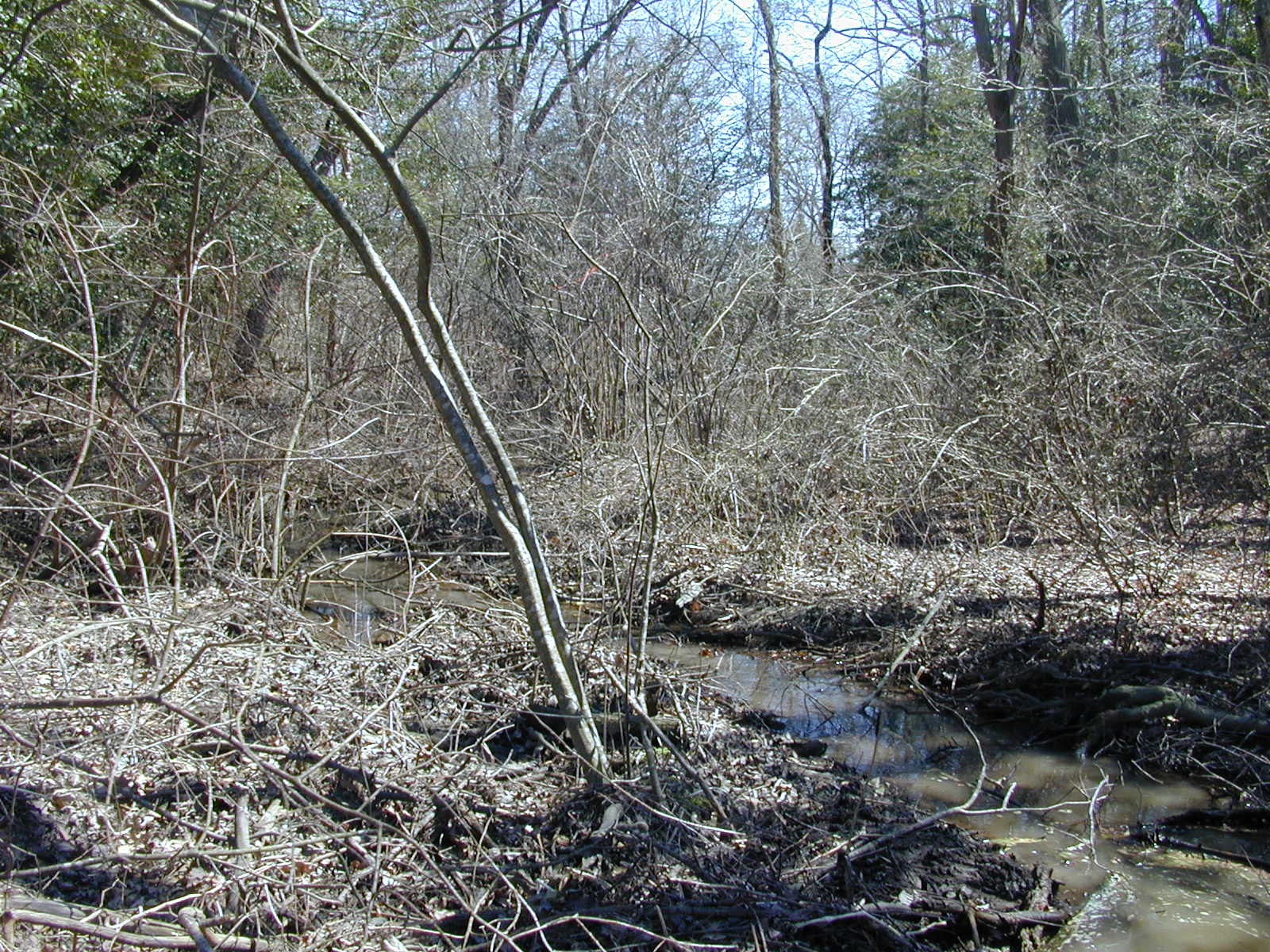 Field photo showing stream conditions at site TRAN-103-R-2004-2