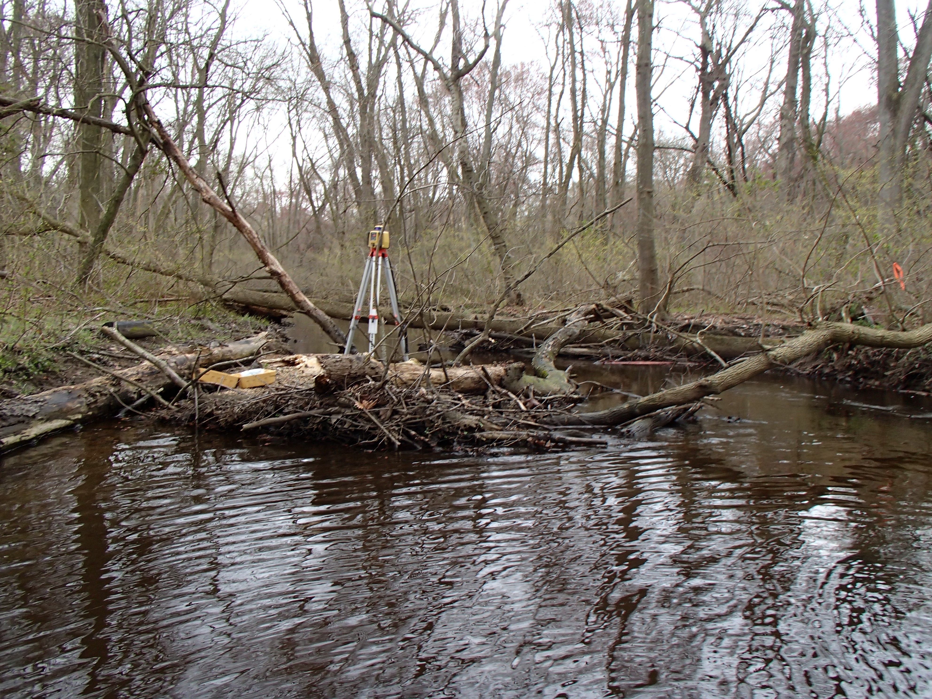 Field photo showing stream conditions at site TRAN-103-R-2015_Midpoint-downstream