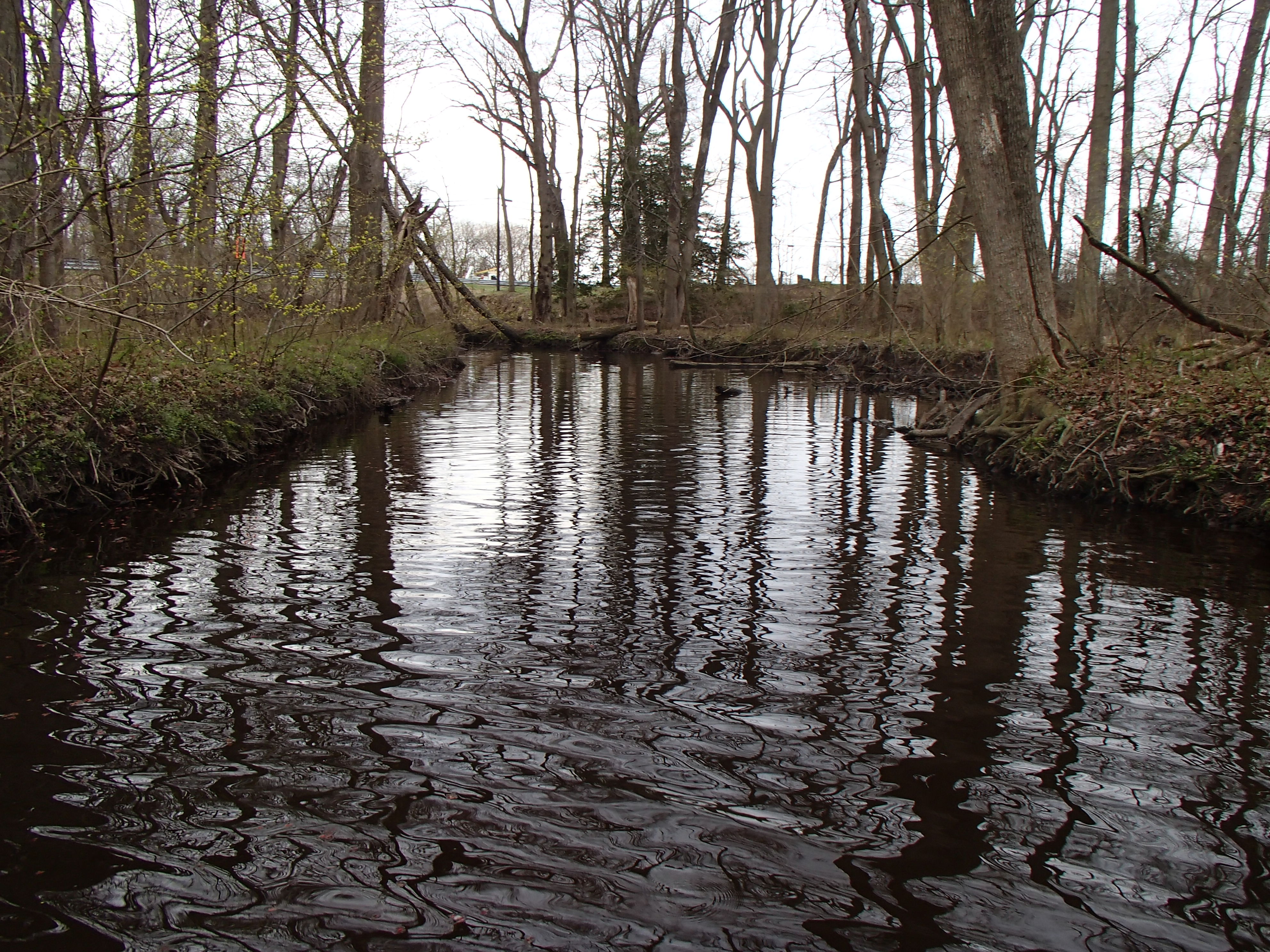 Field photo showing stream conditions at site TRAN-103-R-2015_Midpoint-upstream