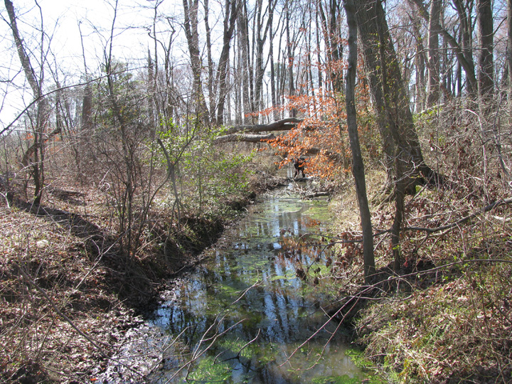 Field photo showing stream conditions at site TRAN-105-R-2009-1