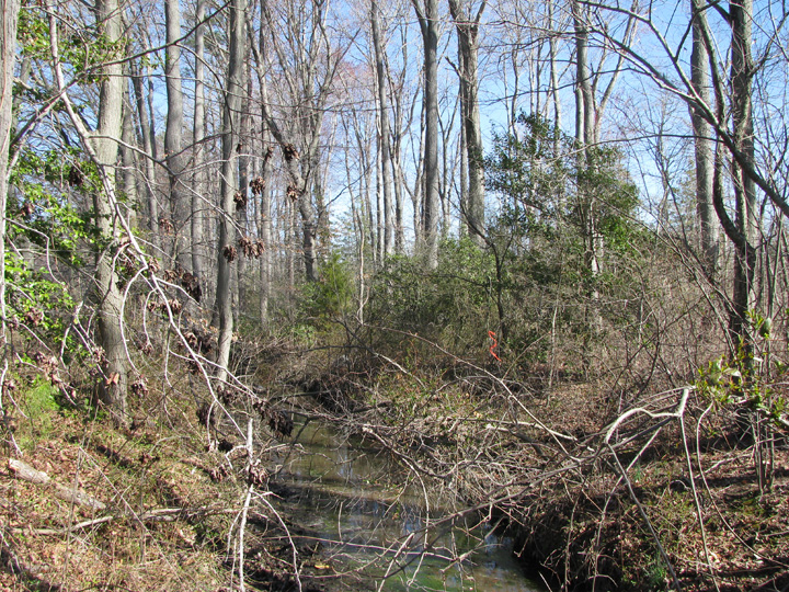 Field photo showing stream conditions at site TRAN-105-R-2009-2