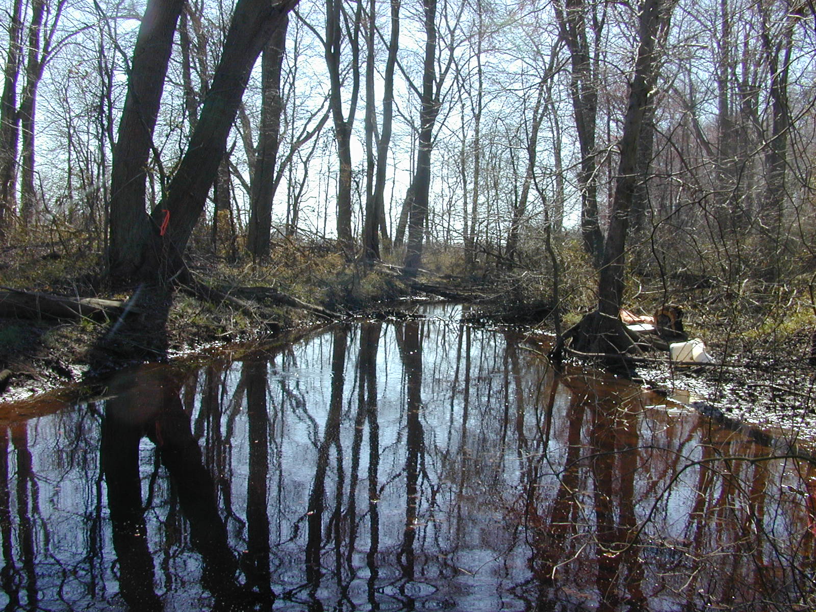 Field photo showing stream conditions at site TRAN-106-R-2004-1