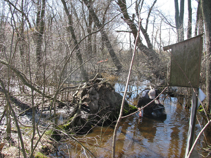 Field photo showing stream conditions at site TRAN-106-R-2009-1