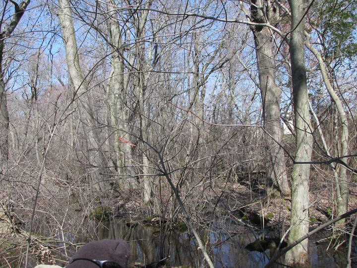 Field photo showing stream conditions at site TRAN-106-R-2009-2