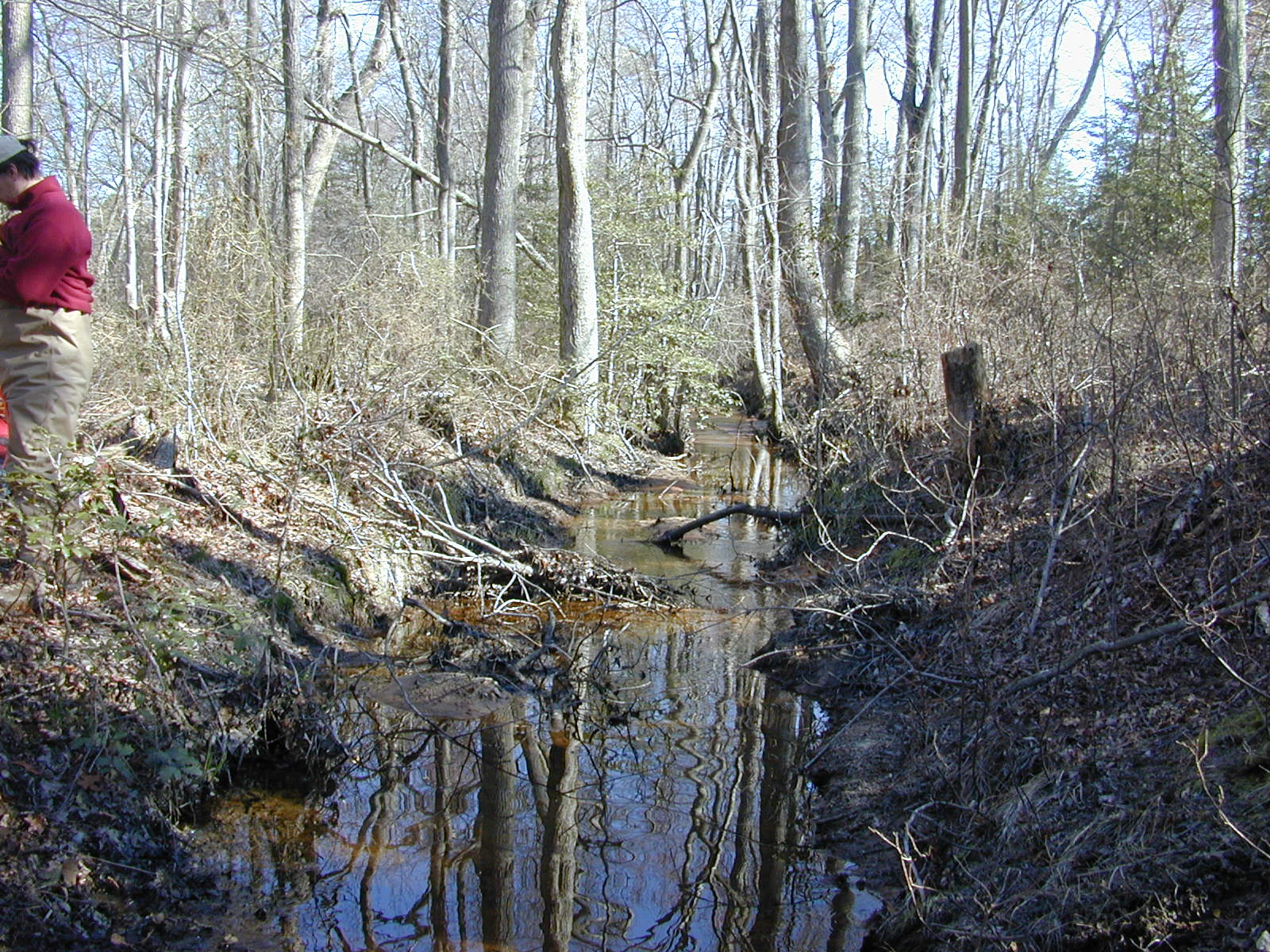 Field photo showing stream conditions at site TRAN-108-R-2004-2
