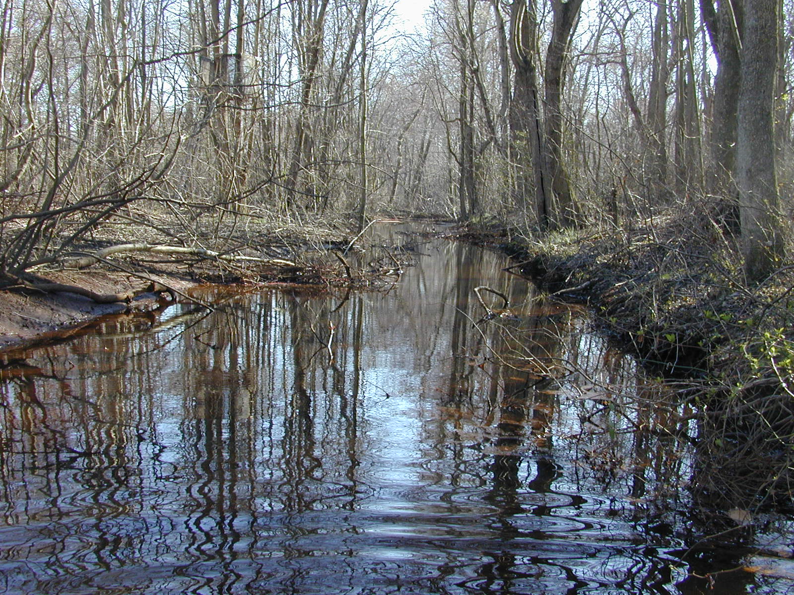 Field photo showing stream conditions at site TRAN-112-R-2004-1