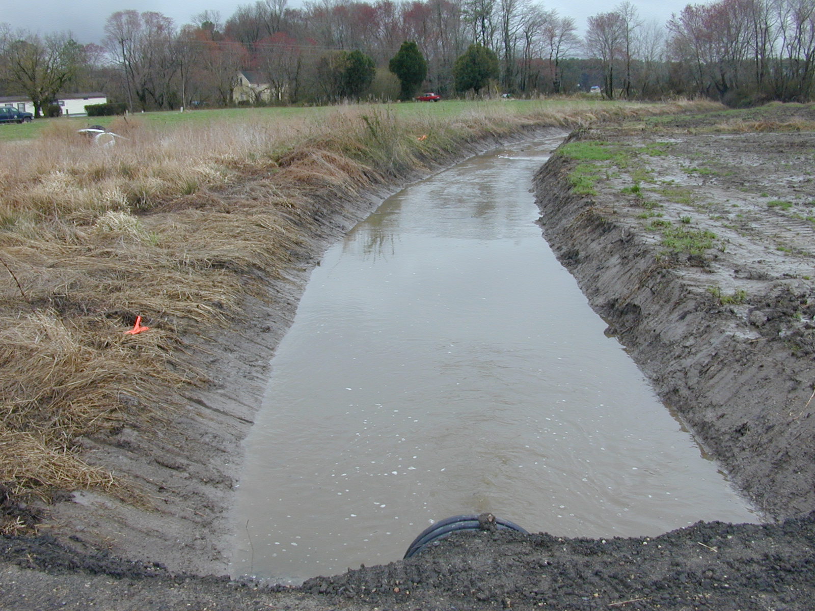 Field photo showing stream conditions at site TRAN-135-R-2004-1