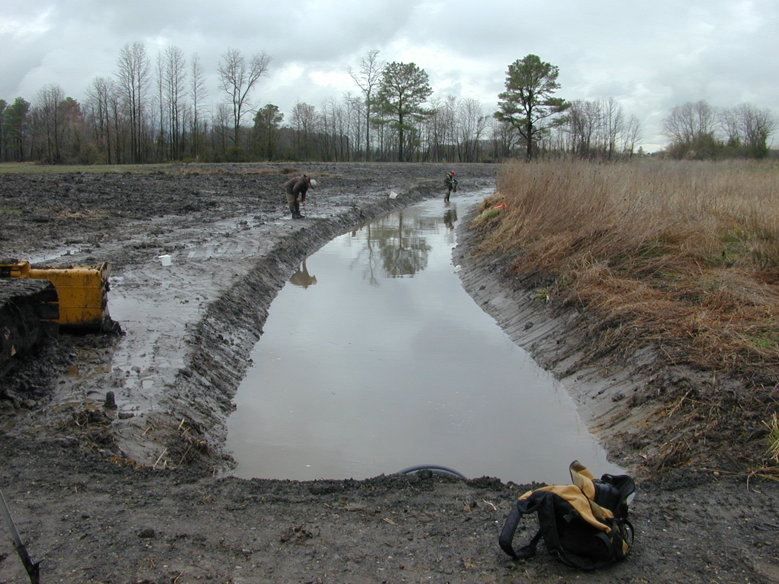 Field photo showing stream conditions at site TRAN-135-R-2004-2
