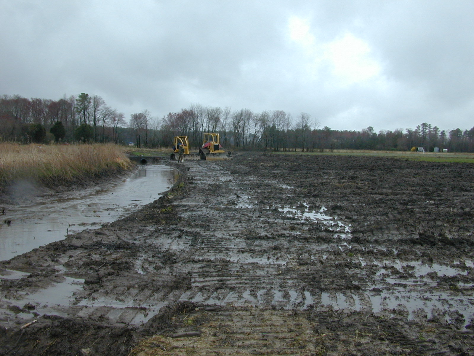 Field photo showing stream conditions at site TRAN-135-R-2004-5