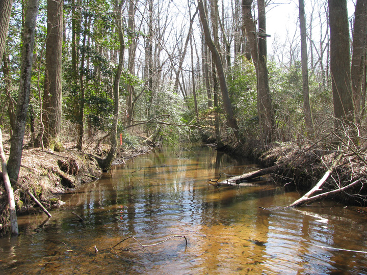 Field photo showing stream conditions at site TRAN-204-R-2009-1