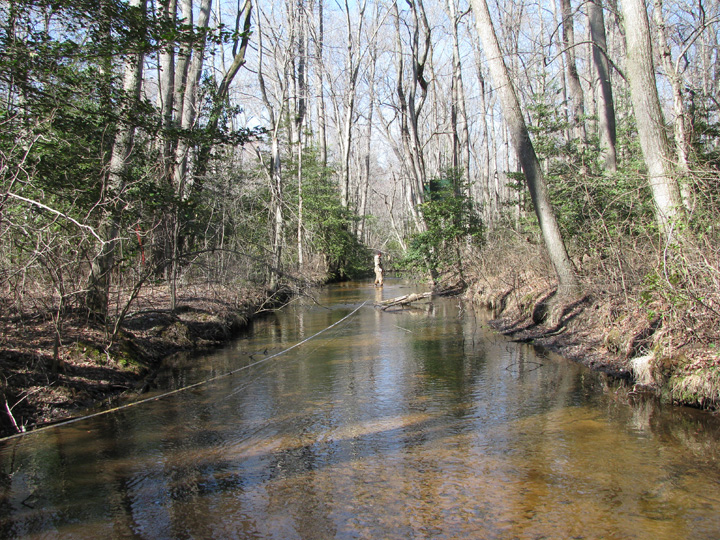 Field photo showing stream conditions at site TRAN-204-R-2009-2
