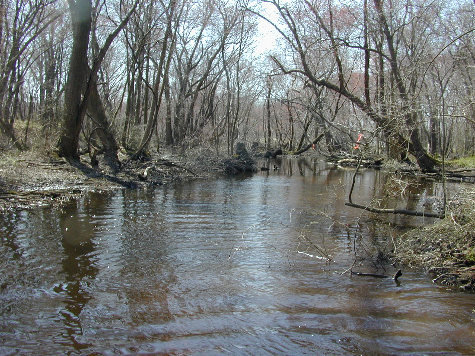 Field photo showing stream conditions at site TRAN-211-R-2004-1