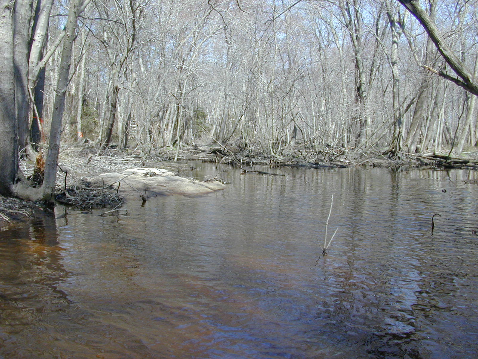 Field photo showing stream conditions at site TRAN-211-R-2004-2