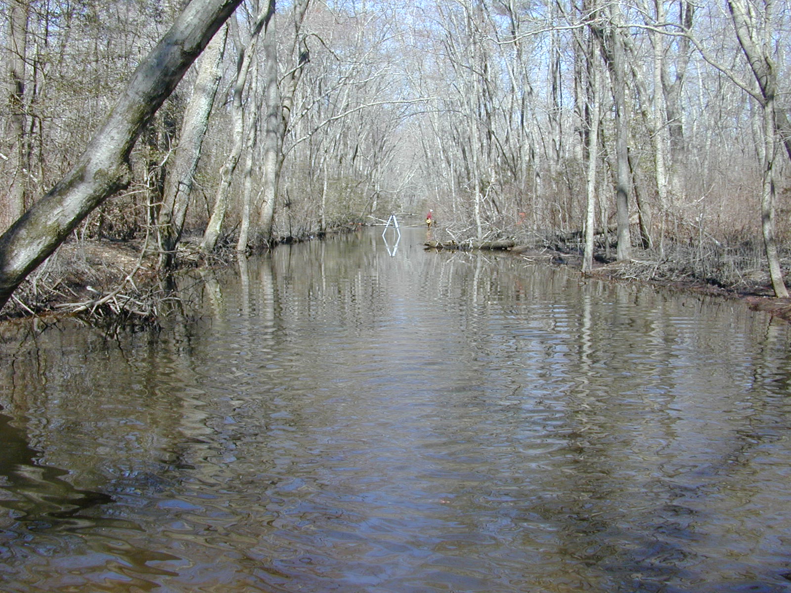 Field photo showing stream conditions at site TRAN-219-R-2004-1