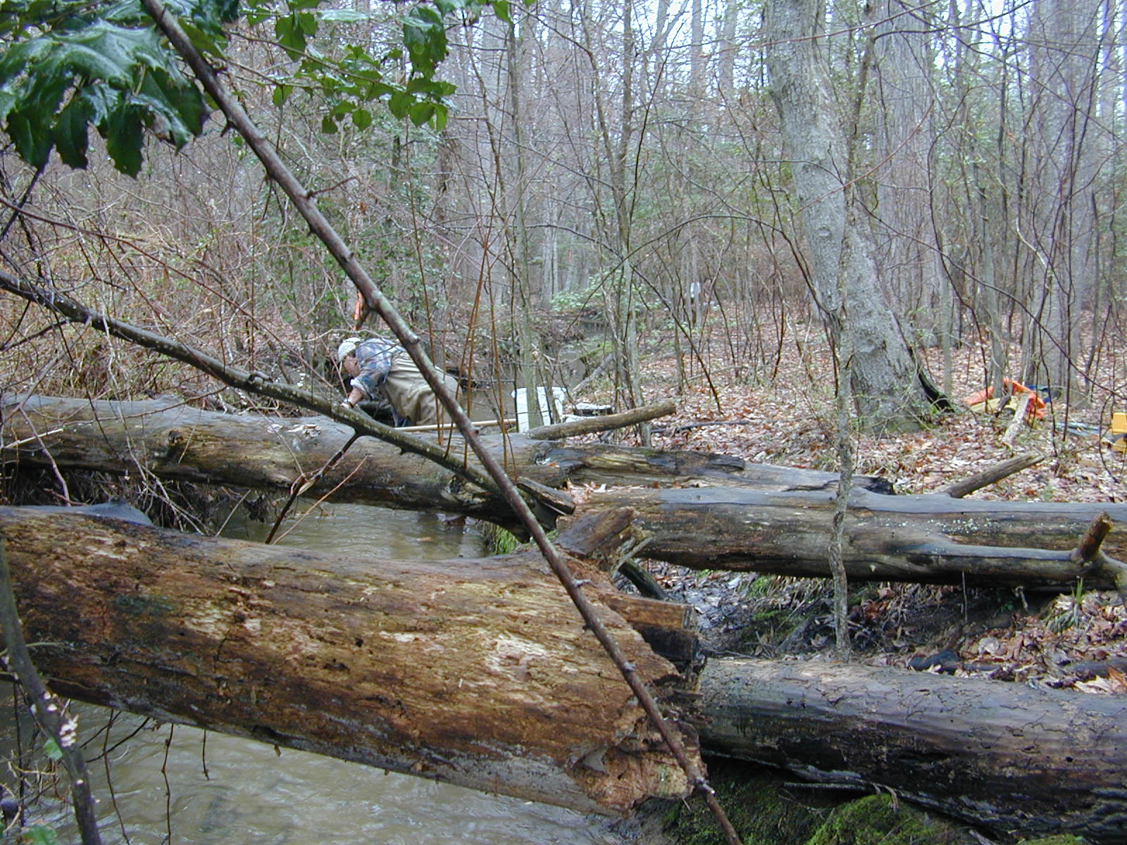 Field photo showing stream conditions at site TUCK-101-R-2003-0948