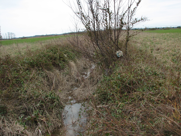 Field photo showing stream conditions at site TUCK-102-R-2008-1