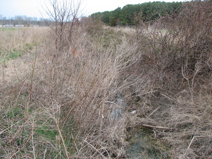 Field photo showing stream conditions at site TUCK-102-R-2008-2