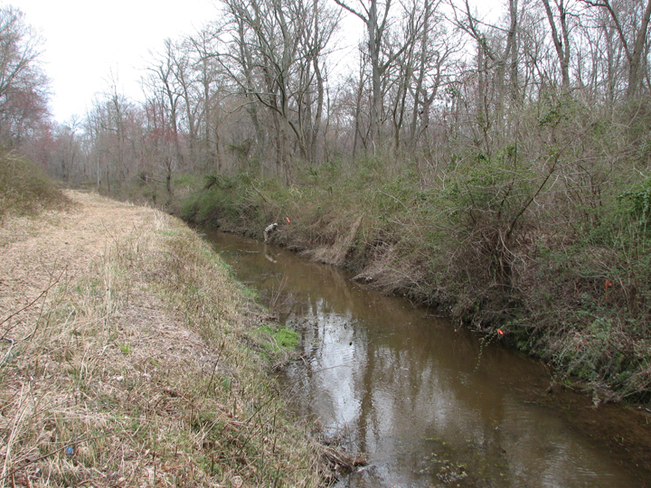 Field photo showing stream conditions at site TUCK-103-R-2008-1