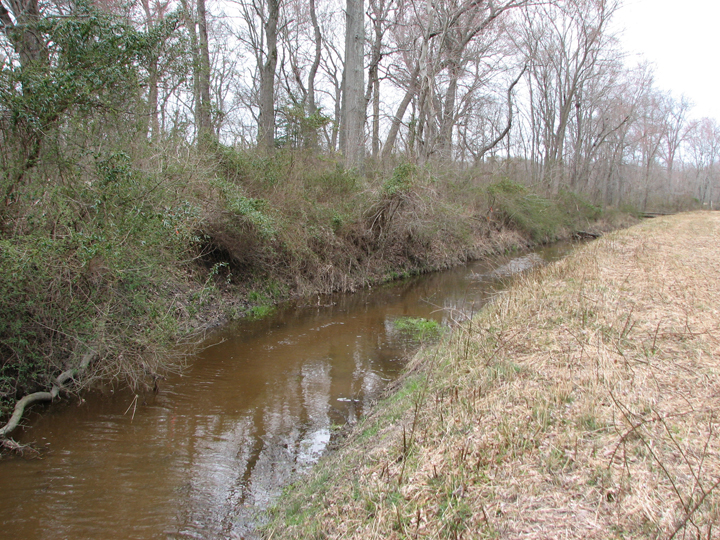 Field photo showing stream conditions at site TUCK-103-R-2008-2