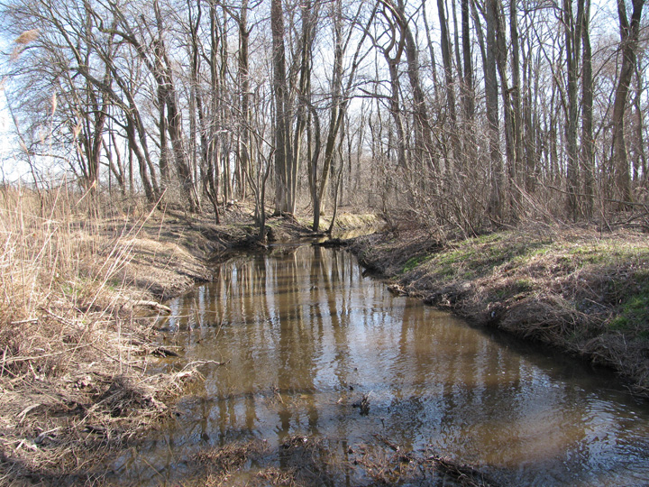 Field photo showing stream conditions at site TUCK-110-A-2011-1
