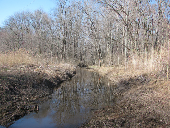 Field photo showing stream conditions at site TUCK-110-A-2011-2