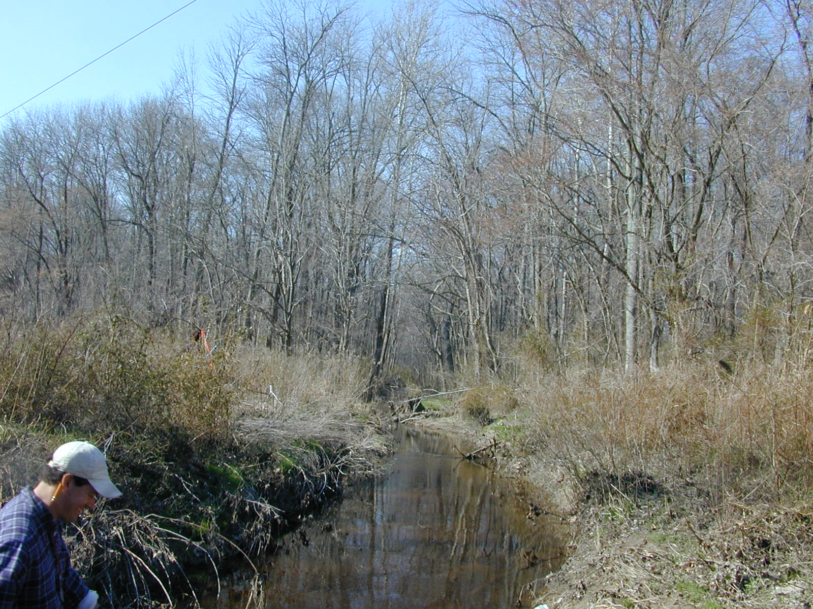 Field photo showing stream conditions at site TUCK-110-R-2003-0937