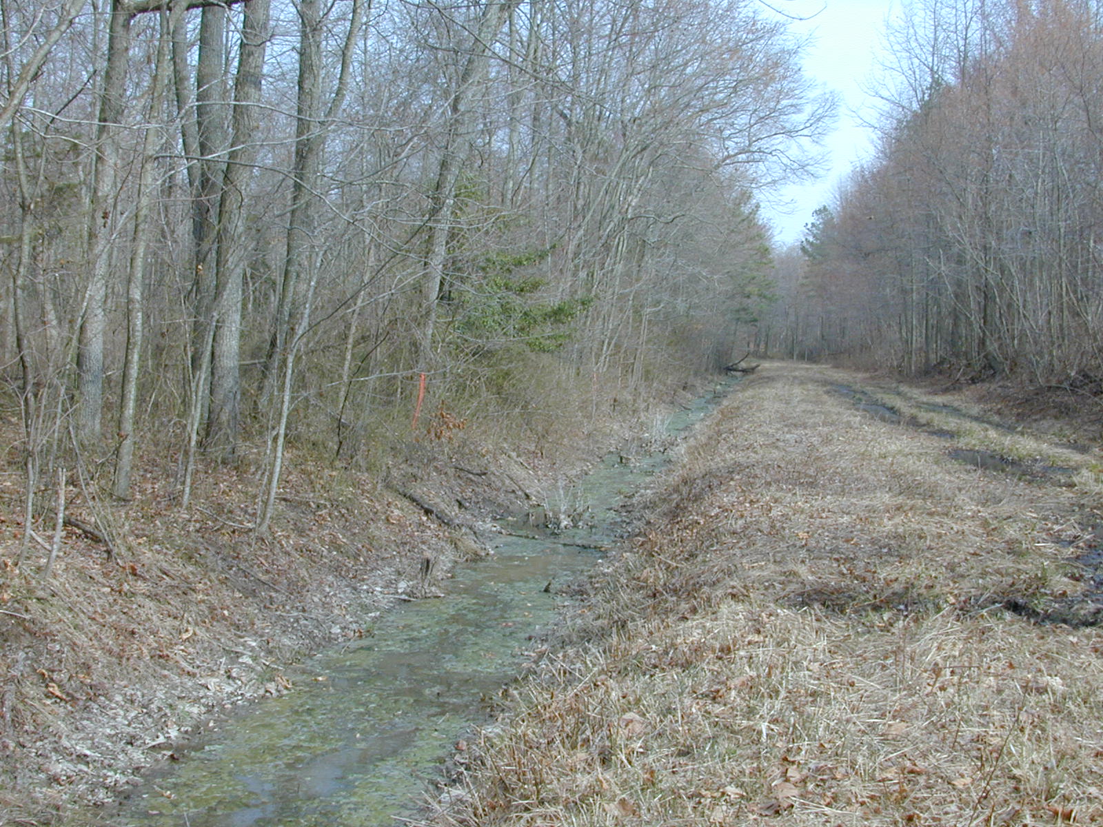 Field photo showing stream conditions at site TUCK-113-R-2003-0946