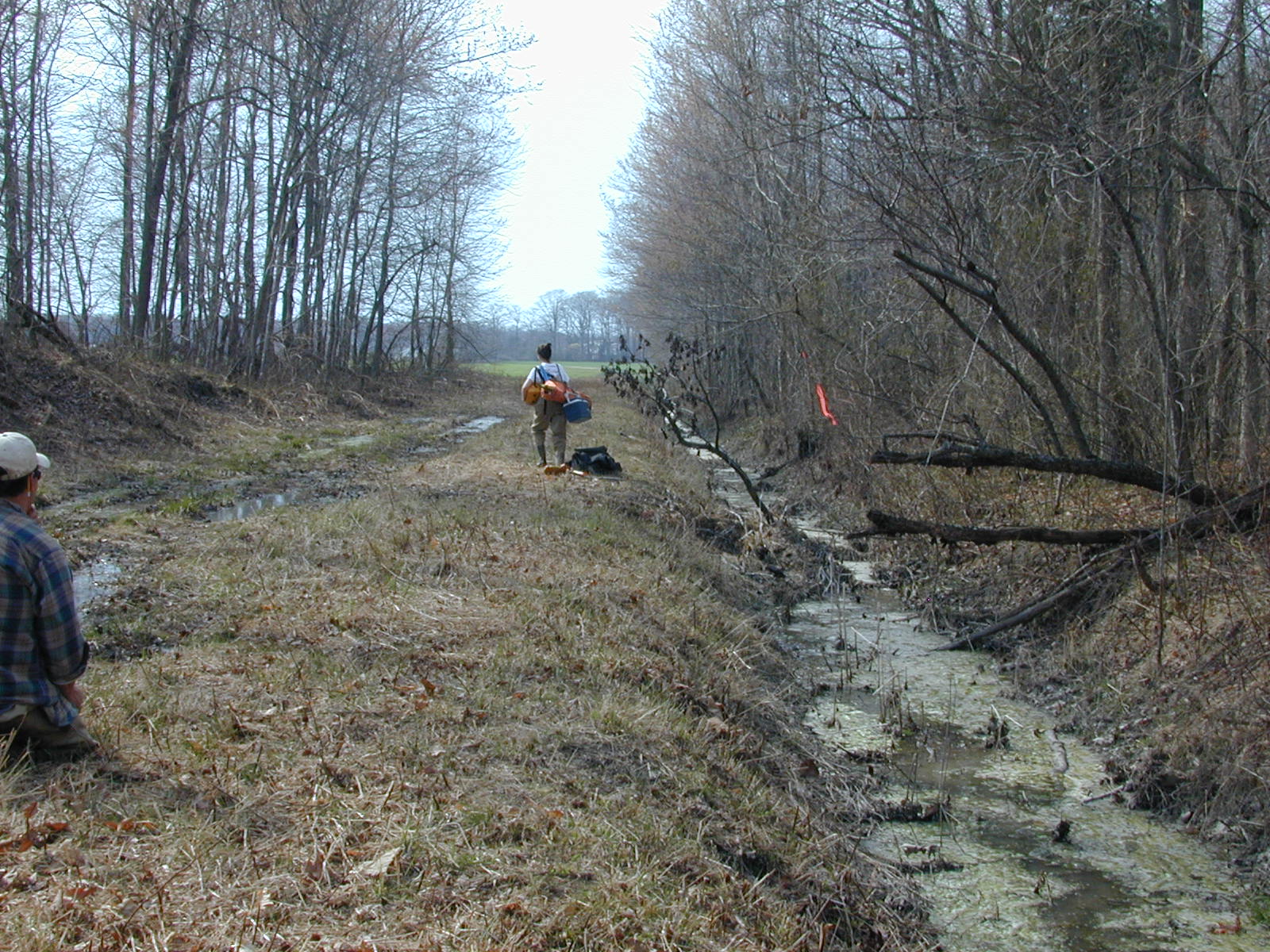 Field photo showing stream conditions at site TUCK-113-R-2003-0947