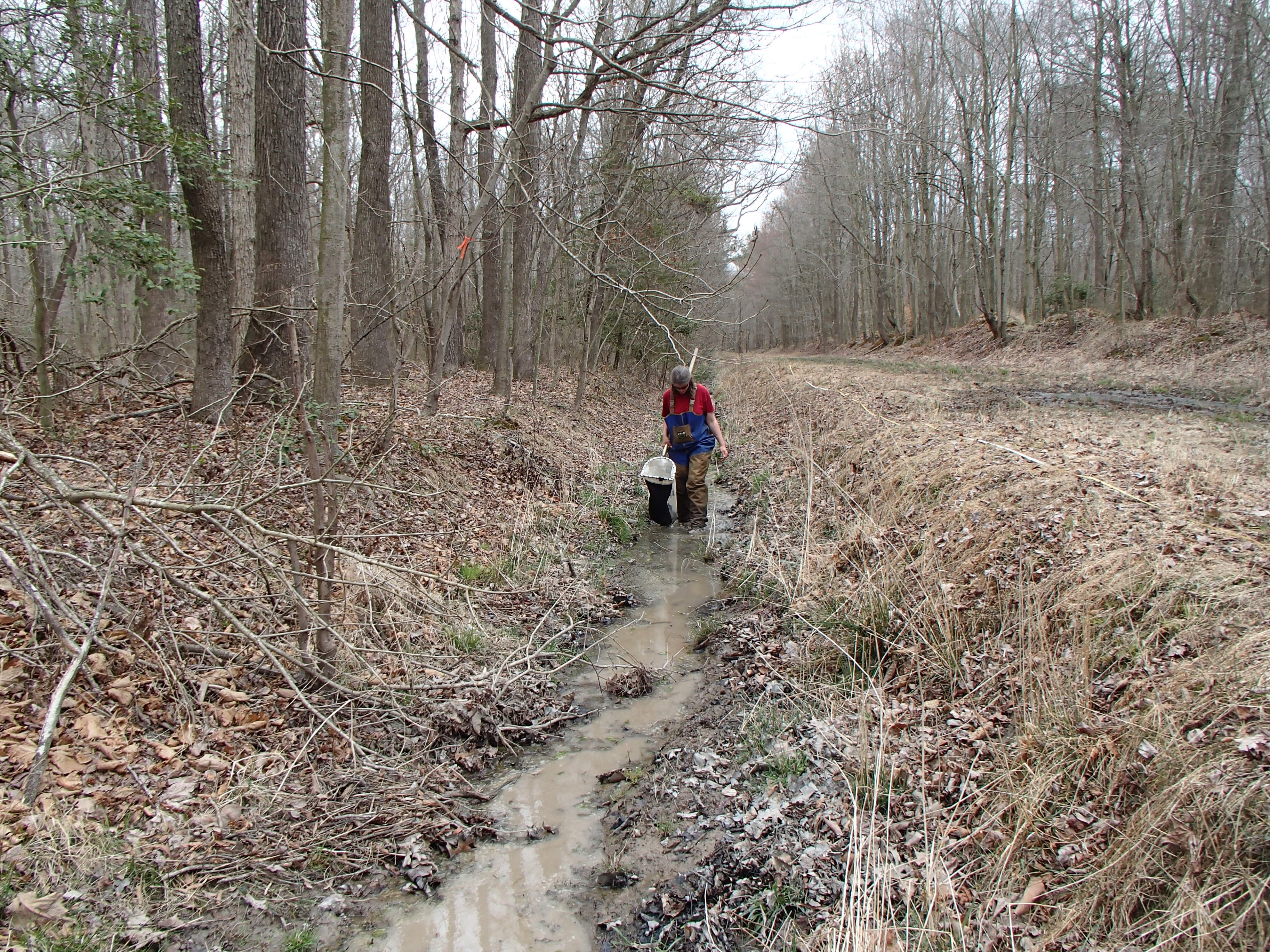 Field photo showing stream conditions at site TUCK-113-R-2017-MidpointFacingDownstream