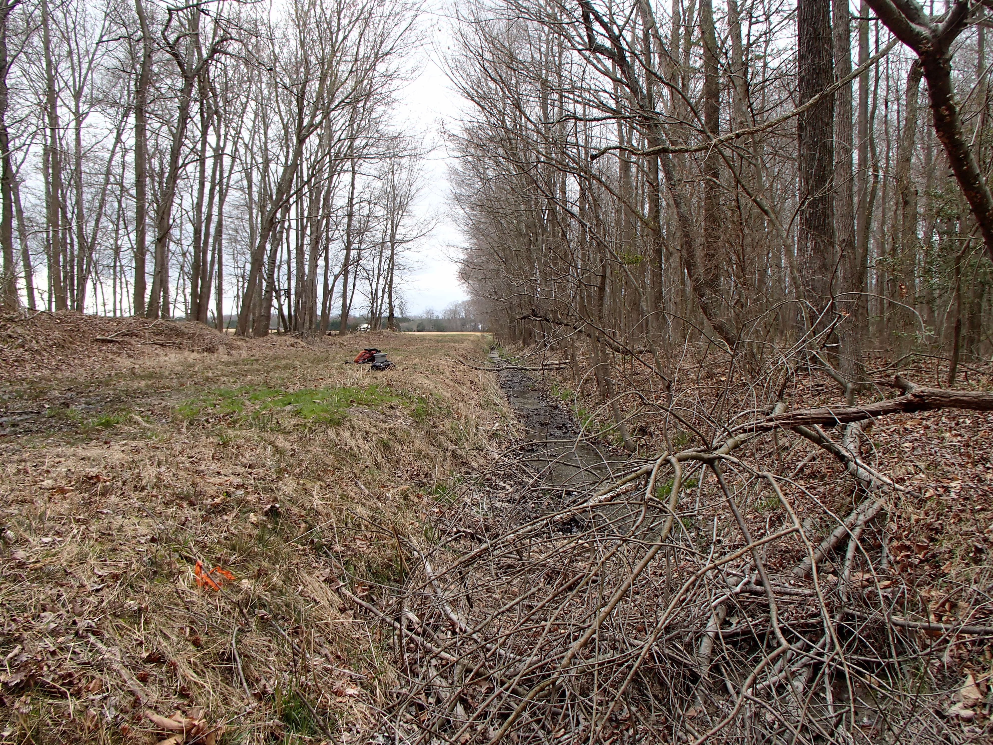 Field photo showing stream conditions at site TUCK-113-R-2017-MidpointFacingUpstream