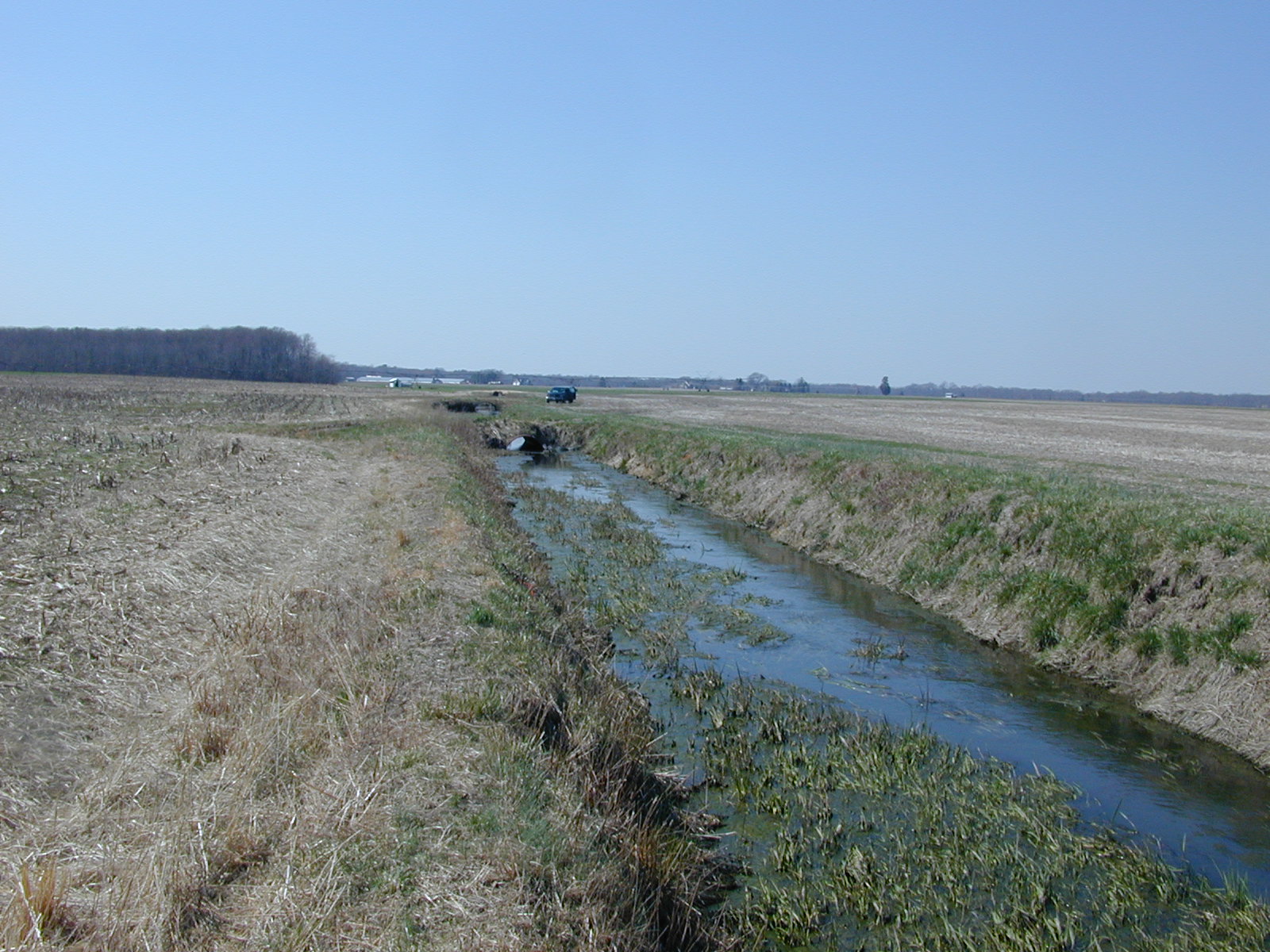 Field photo showing stream conditions at site TUCK-115-R-2003-0931