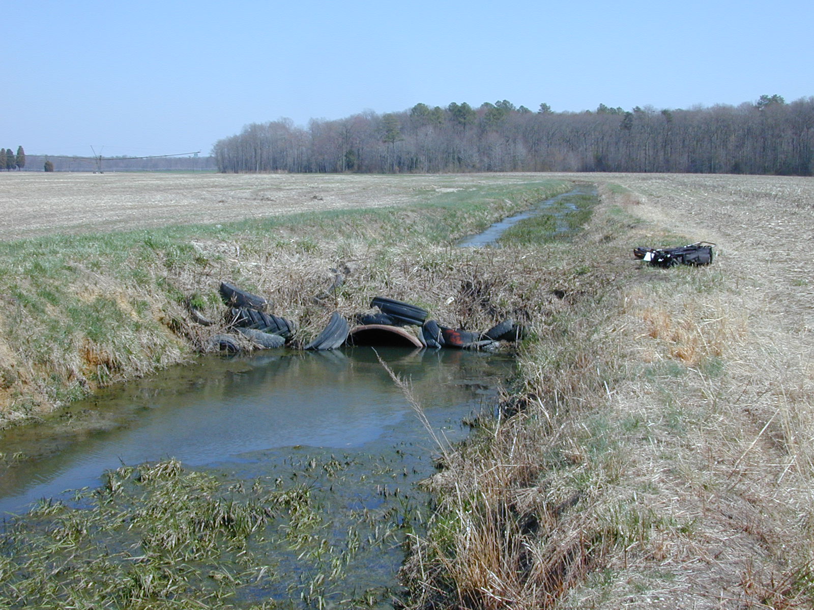 Field photo showing stream conditions at site TUCK-115-R-2003-0932