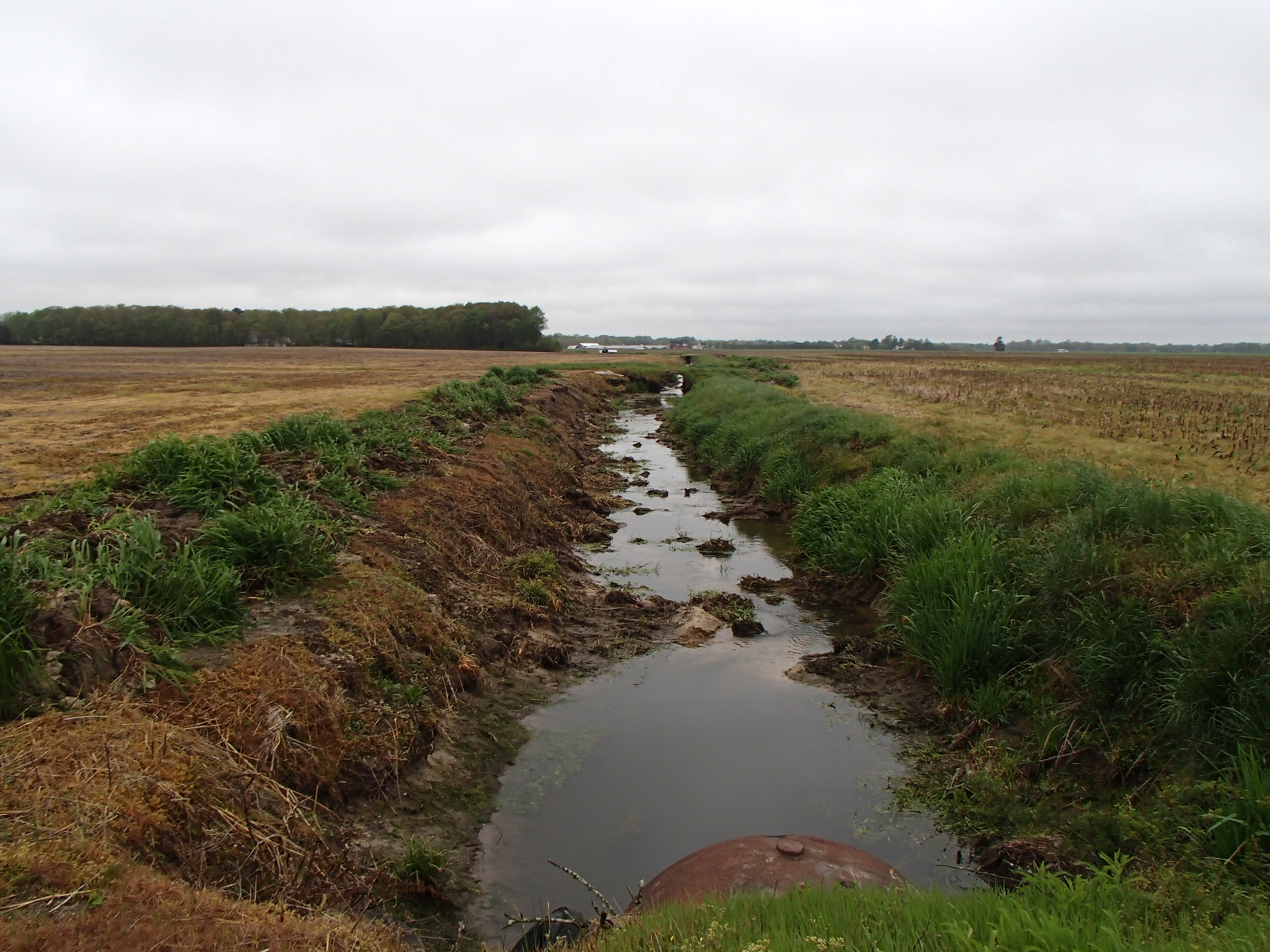 Field photo showing stream conditions at site TUCK-115-R-2017-MidpointFacingDownstream
