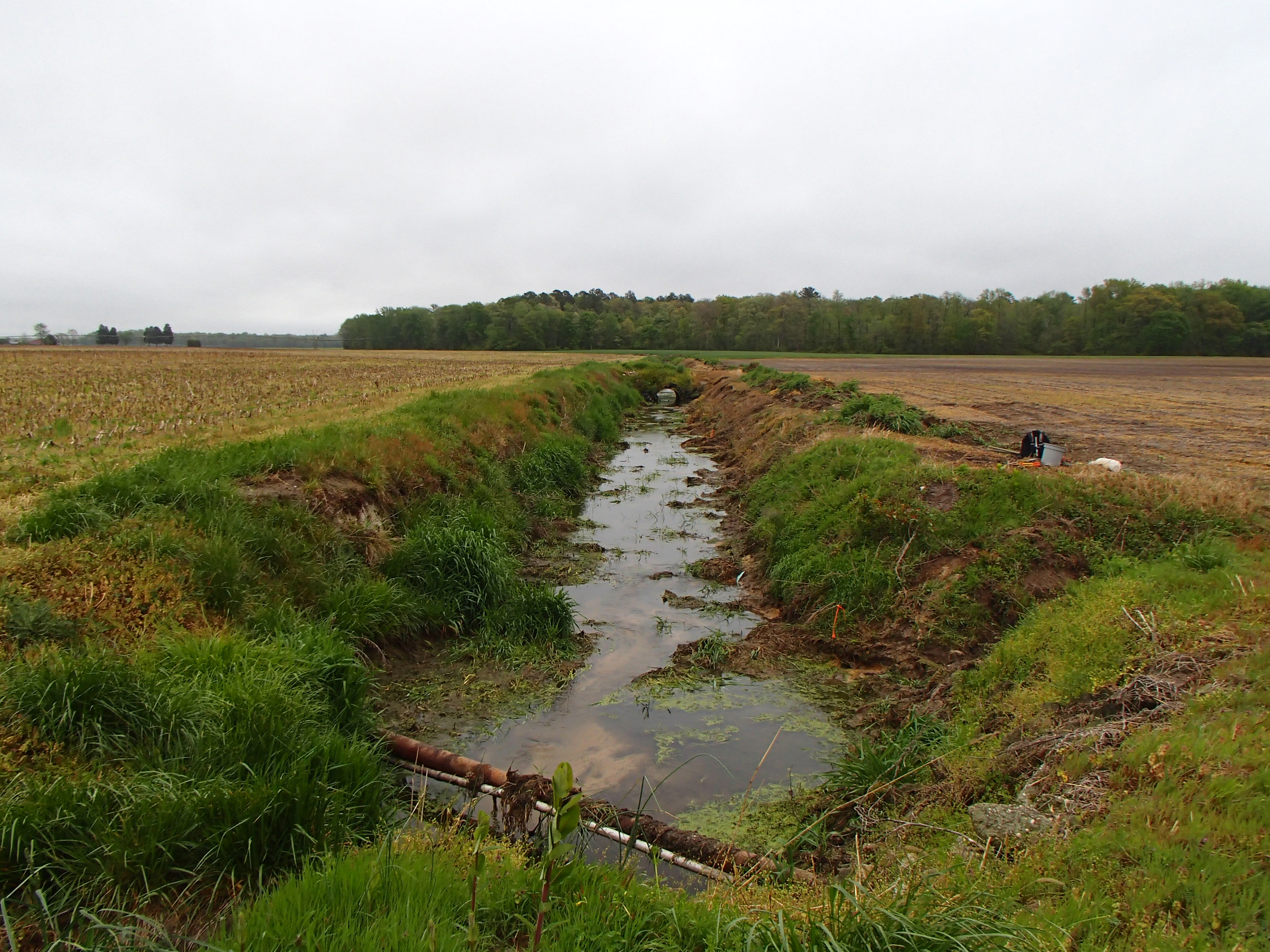 Field photo showing stream conditions at site TUCK-115-R-2017-MidpointFacingUpstream