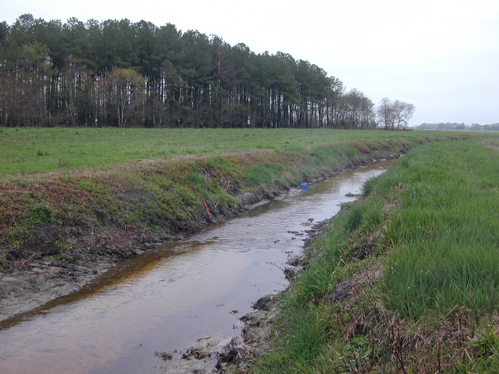 Field photo showing stream conditions at site TUCK-119-R-2003-1014