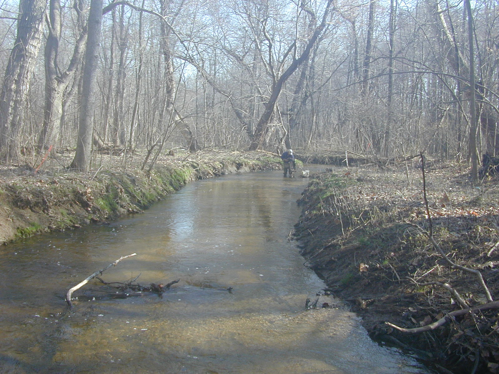 Field photo showing stream conditions at site TUCK-203-R-2003-0923