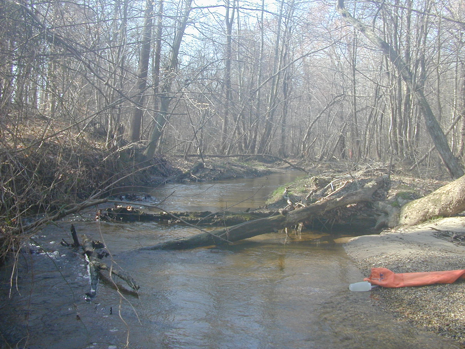 Field photo showing stream conditions at site TUCK-203-R-2003-0924