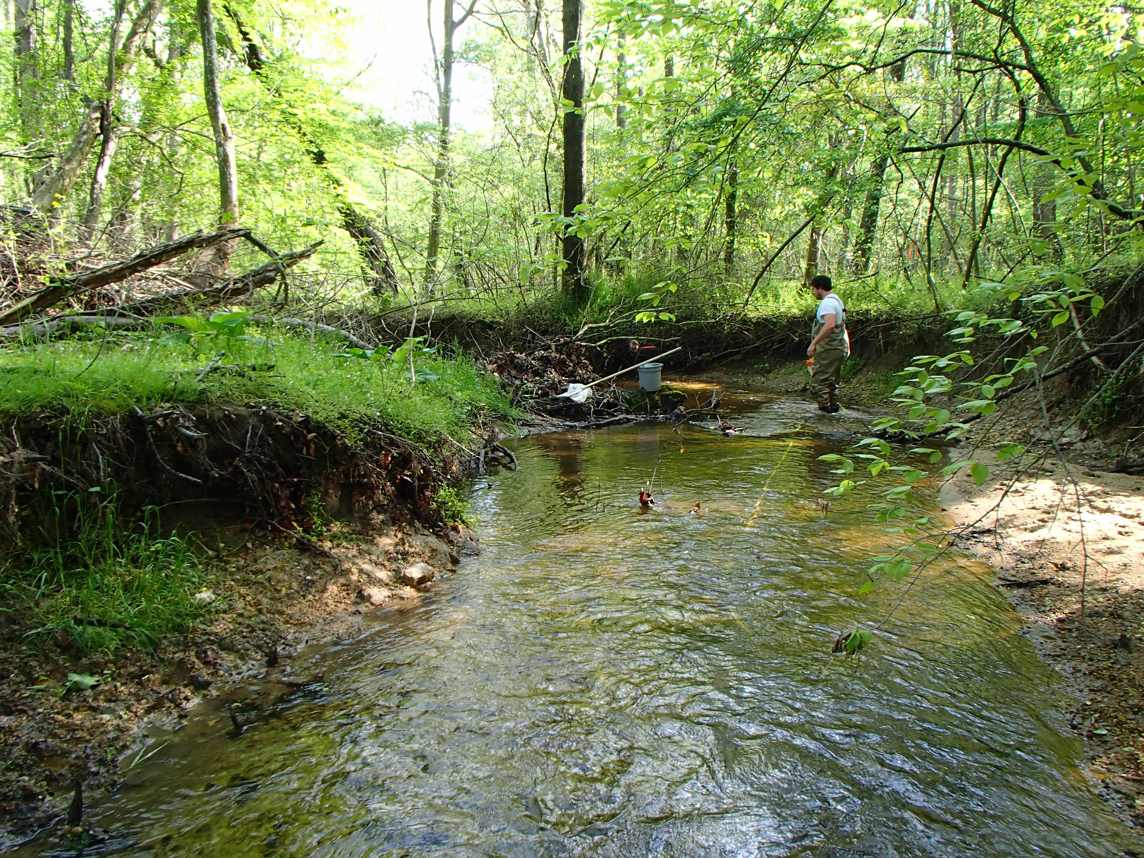 Field photo showing stream conditions at site TUCK-203-R-2017-MidpointLookingDownstream