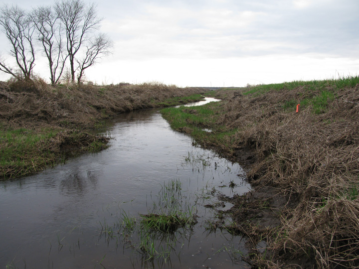 Field photo showing stream conditions at site TUCK-206-H-2010-1