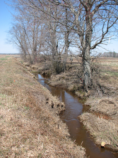 Field photo showing stream conditions at site TUCK-208-R-2008-1