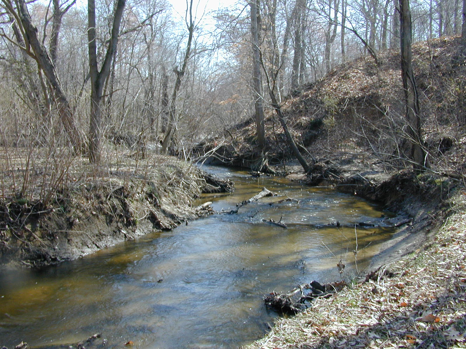 Field photo showing stream conditions at site TUCK-214-R-2003-0925