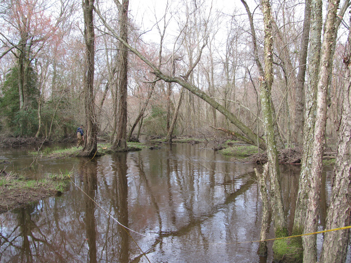 Field photo showing stream conditions at site TUCK-304-H-2010-1